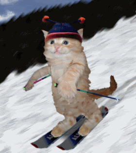 Skier Cat coming down the slope